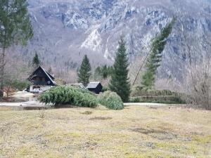 Ukanc (avtor fotografije Jure Sodja)